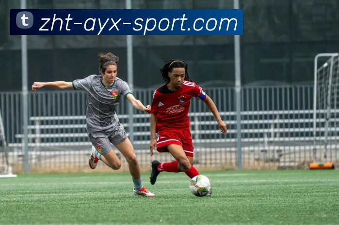 爱游戏发展历程